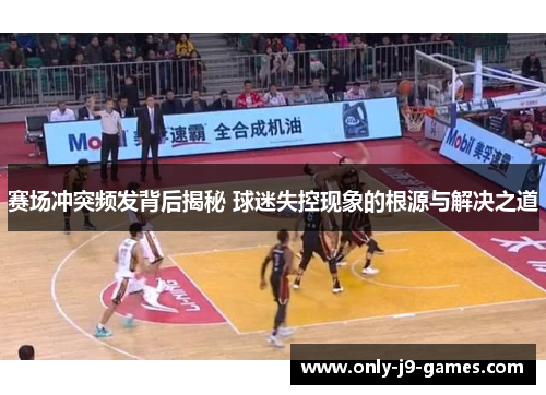 赛场冲突频发背后揭秘 球迷失控现象的根源与解决之道